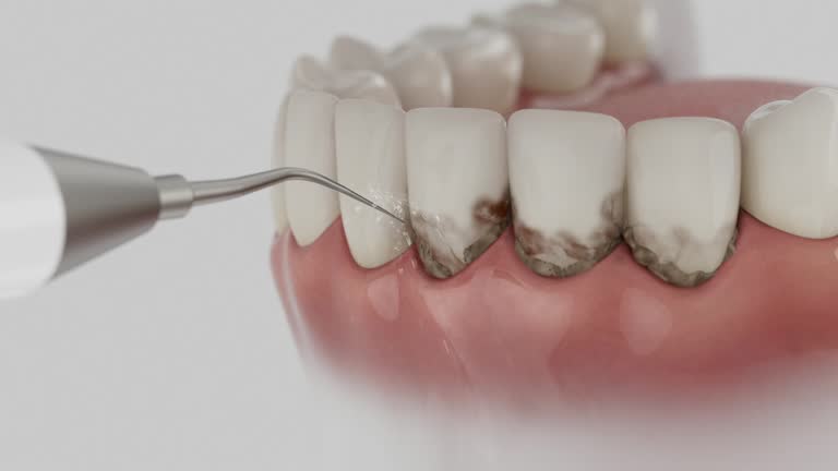 Reliable Dental contractor in Dellwood, MN by Dentist Open Now
